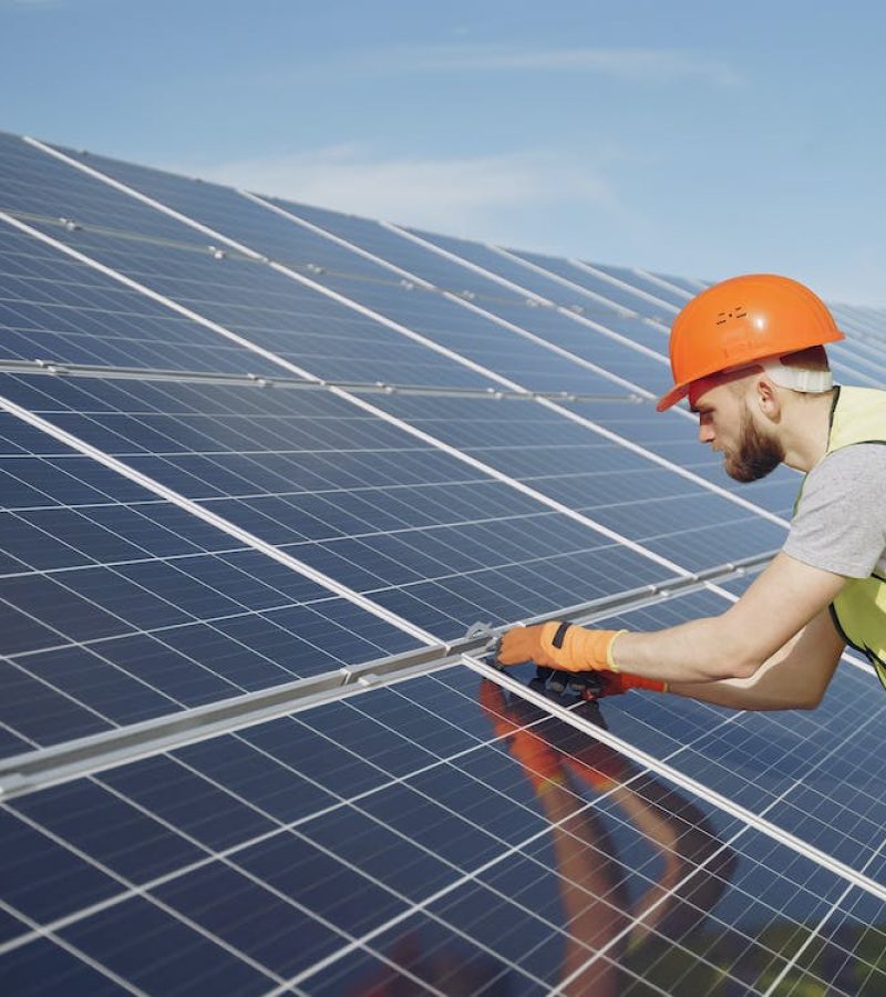 pexels-photo-4254168